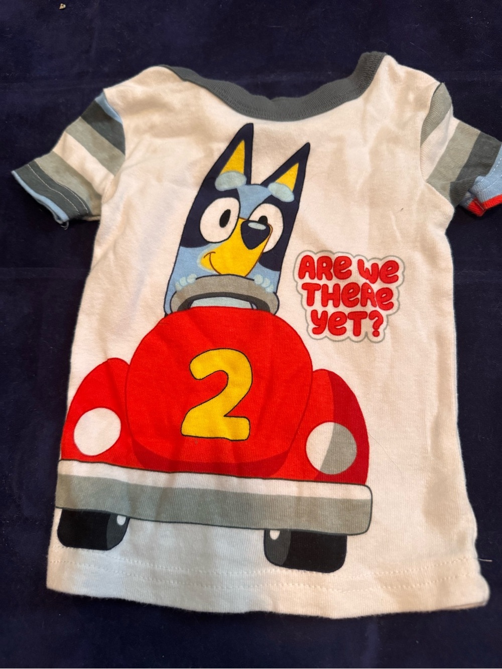 NWOT Bluey 'Are We There Yet?' Toddler Tee-12mos